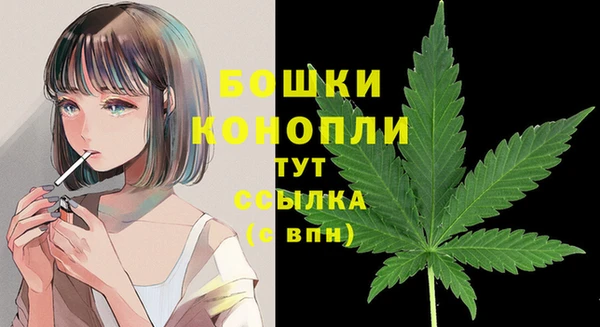 мдпв Бронницы
