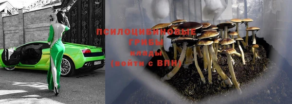 mdma Бородино