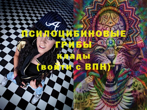 mdma Бородино