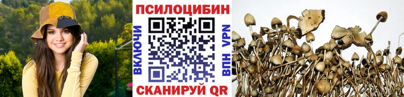как найти закладки  Абакан  Псилоцибиновые грибы мицелий 