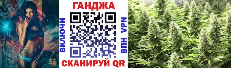 Канабис сатива Абакан