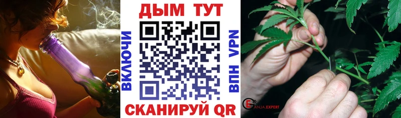 ссылка на мегу ССЫЛКА  дарнет шоп  Абакан  МАРИХУАНА сатива 